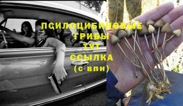мет Аркадак