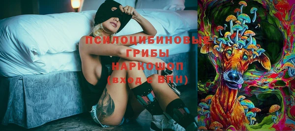 Альфа ПВП Новодвинск