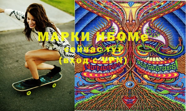 молекула духа Новозыбков